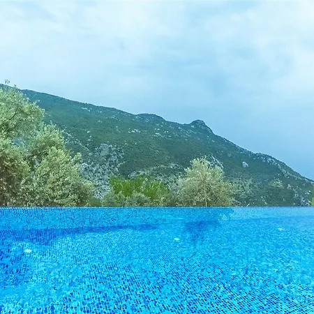 Askim Kalkan